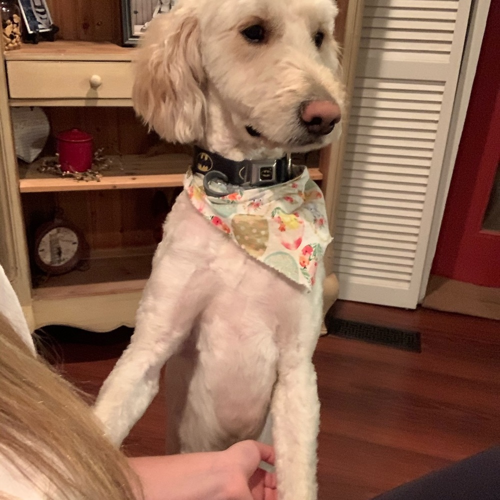 Meet your Posher, Jalyn